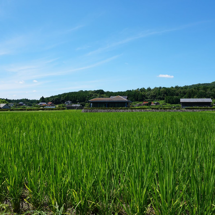 Sake Spotlight – Jim Rion Looks at Boucho Tsuro from Yamaguchi