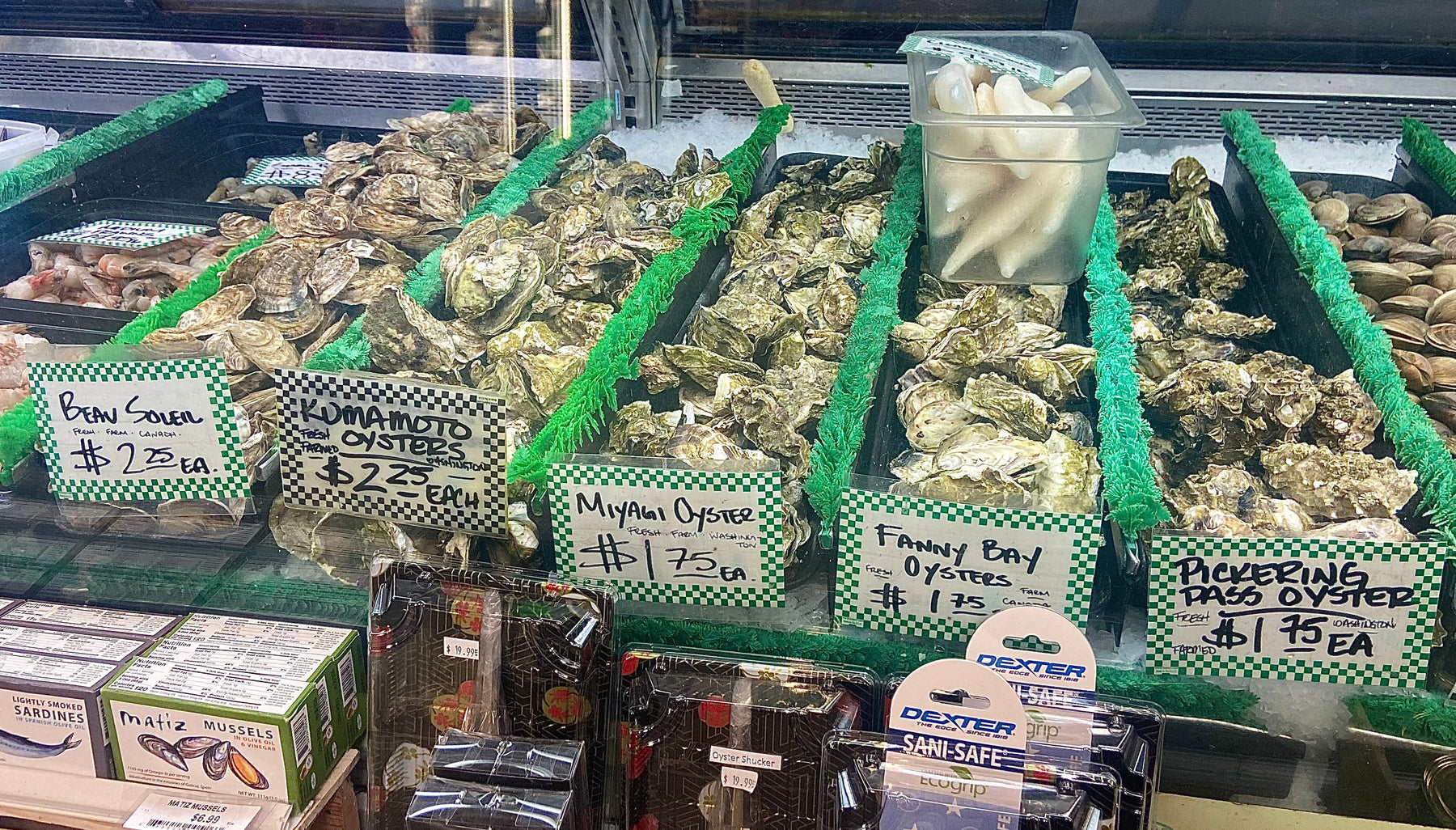 Taste with KJ – Dry Ginjos with North American Oysters